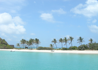Croisière Saint-Vincent